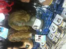 photo 1.webp