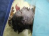 177109-muammar-gaddafi-killed-dead-body-photos-released.jpg