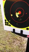 6 from Ruger 10mm.webp