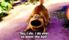 tumblr_odepkxQbwD1vexztyo3_250.gif