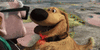 tenor-1.gif