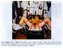 victim of david parker ray.webp