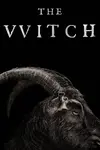 The witch.webp