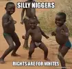 silly-niggers-rights.webp