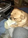 20210212_182151.webp