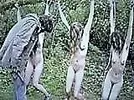 sAHILoILGt.webp