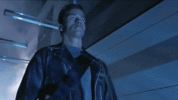Terminator 2.gif