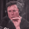 elon.gif