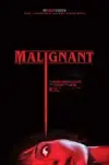 images.webp