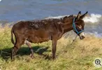 20220130_202222.webp