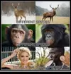thumb_different-species-different-species-totally-the-same-speciesm-14747097.webp