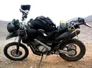 MadMax.webp