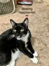 72684009-7989-4329-9356-DD76704311F5.webp