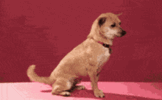 youre-the-best-cute.gif