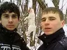 12.webp