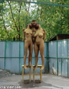 27-hangin-with-the-honeys.webp