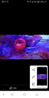 Screenshot_20230304-134945.webp