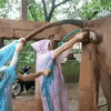 IMG_1330.gif