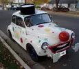 Clown-Car-Clarabelle.webp