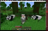 pandas.webp