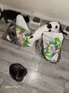20231031_195825.webp