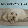 1699424772999.gif