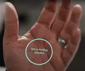 Capture.webp