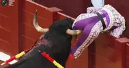 IMG_7904.webp