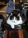 20231230_131542.webp