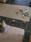 20240214_093007.webp