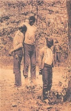 170px-Lynching_of_Redmond,_Roberson_and_Addison.webp