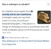Screenshot_20240509-101227_Samsung Internet~2.webp