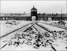 https___tf-cmsv2-smithsonianmag-media.s3.amazonaws.com_filer_d7_a5_d7a56079-1fd9-4da3-8bf5-ba...webp