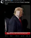trump-ear-pillow-memes-8-20240717-600x734.webp