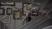 giphy (1).gif