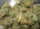 del_homegrown.webp
