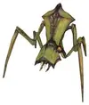 ant.webp