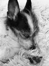IMG_3614.jpeg