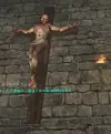 st_floyd.webp