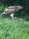 20240505_202957.webp