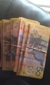 IMAG0181.webp