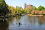 Boston.webp