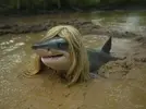 1754828327328.webp
