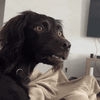 gif_3.gif