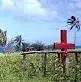 1764942697394.webp