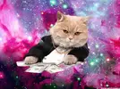 1765381362674.webp