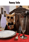 RichCatChampa.gif