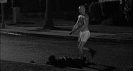 1769310355810.gif