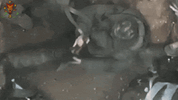 Selfie mit AK-cln.gif