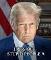 I piss off stupid people.webp